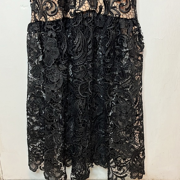 Dress the Population Sophia lace mermaid gown - Picture 13 of 15